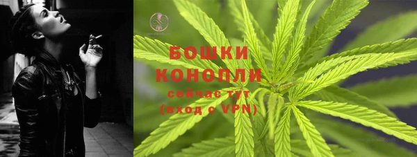 молекула духа Бугульма