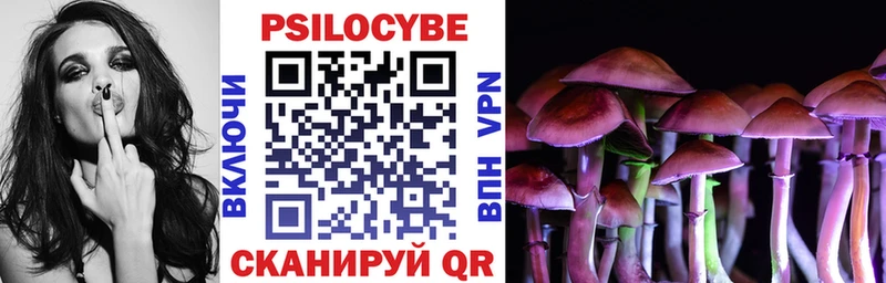 блэк спрут tor  где продают   Колпашево  Псилоцибиновые грибы Psilocybine cubensis 